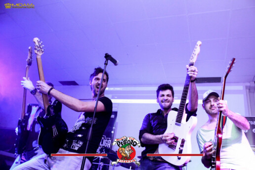ligabue tribute band ufficiale