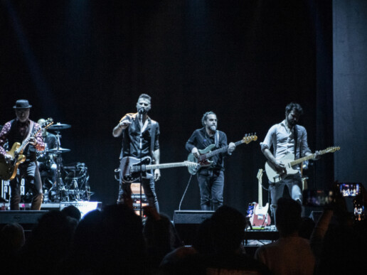 tributo ligabue